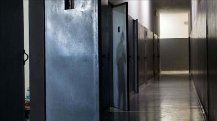 Makundi ya kiraia A/Kusini yataka kupewa dhamana wanaharakati wa Palestina waliogoma kula katika jela za UK