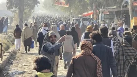 بازداشت یک دانشجو به اتهام انتقاد از اجرای حکم قصاص به دست کودکان