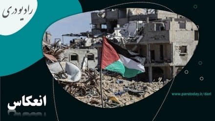 گزارش سازمان ملل از نقض مکرر آتش بس در غزه 