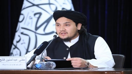 طالبان در واکنش به گزارش مؤسسه صلح و اقتصاد: امنیت در سراسر افغانستان برقرار است