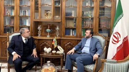 Gharibabadi: Hubungan Iran-Brasil Berpotensi Besar untuk Diperluas