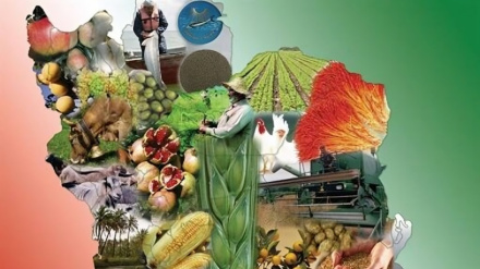 آمادگی ایران برای ایجاد شبکه بیوتکنولوژی کشورهای اسلامی و تقویت امنیت غذایی