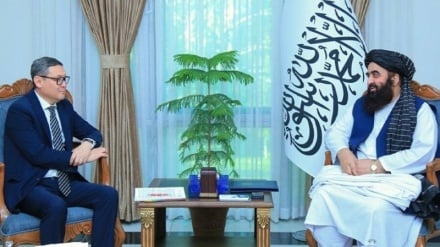 متقی: طالبان در پی روابط محترمانه و مبتنی بر تفاهم با کشورهای منطقه است