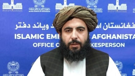 طالبان در واکنش به گزارش مؤسسه صلح و اقتصاد: امنیت در سراسر افغانستان برقرار است