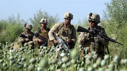 افشاگری مأمور سیا: ترویج تولید موادمخدر در افغانستان سیاست آمریکا بود