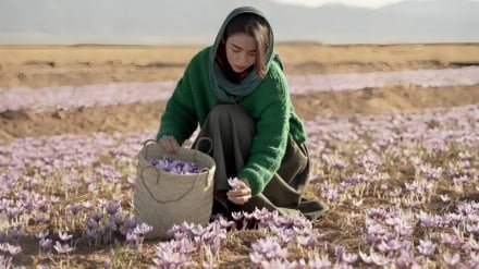 Pariwisata Saffron; Wajah Kreatif Pariwisata Iran