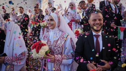 Da qılə Şikil;Da qılə Hodisə|Canqi sayə jiyədə Vəyəkardə Fələstınıjə Cıvoniku tosə Kişi Cəzirədə bıə Marafoni 