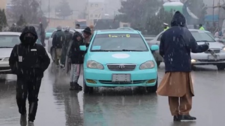 بارش برف در مزارشریف امیدها را به برکت آب و زراعت سبز کرد