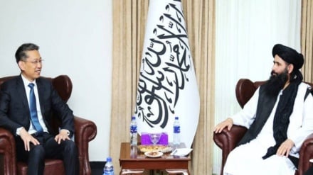 روابط دوجانبه و امنیت مرزی؛ محور دیدار معین وزارت خارجه افغانستان با سفیر چین 