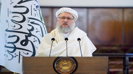 حنفی: آینده افغانستان به دست جوانان‌اش است و هیچ فرد خارجی، کشور ما را آباد نمی‌کند‎