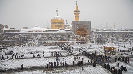 دانه‌های برف عاقبت به‌خیر