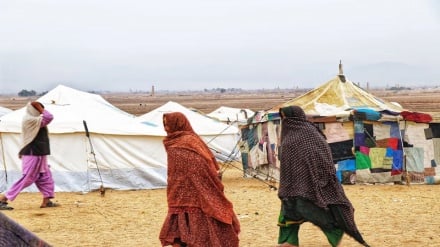 هشدار جهانی درباره افغانستان؛ میلیون‌ها نفر محتاج کمک‌های فوری بشردوستانه