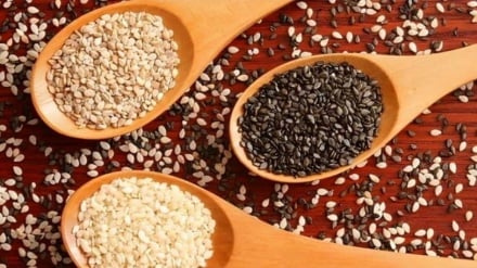 İran-İslam Geleneksel Tıbbı | Susam: Küçük Bir Tohum, Büyük Bir Güç