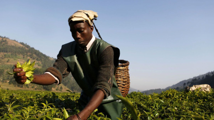 تحریف واقعیت‌ها؛ نقد اظهارات ترامپ درباره تبعیض علیه سفیدپوستان در آفریقای جنوبی