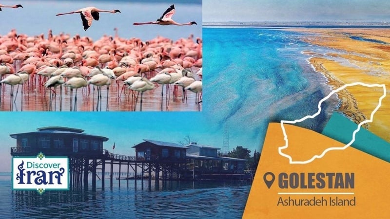 From bird sanctuary to historical landmark: Story of Ashuradeh Island