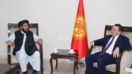 دیدار سفرای افغانستان و قرقیزستان در اسلام آباد