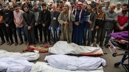 افزایش شمار شهدای باریکه غزه به ۷۱ هزار و ۲۶۶ نفر 