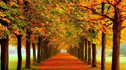 Golestan; il paradiso dai mille colori del nord-est dell’Iran