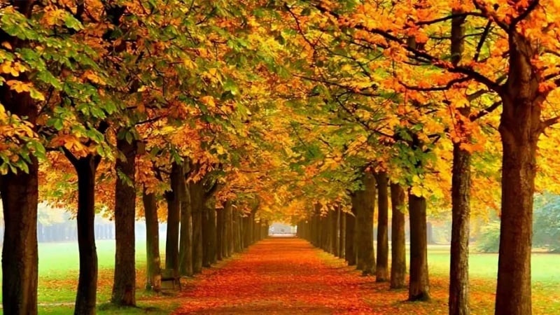 Golestan; il paradiso dai mille colori del nord-est dell’Iran