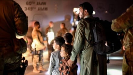  ضربه جدید به مهاجران: ترامپ اعتبار مجوز کار را به ۱۸ ماه محدود کرد