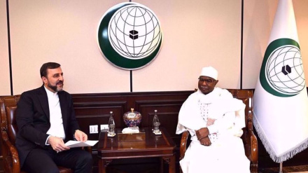 l’OCI salue le rôle déterminant de l’Iran dans la solidarité islamique