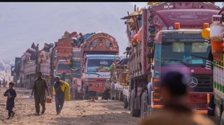   له پاکستانه د افغان کډوالو په ویستلو کې د  کورنیو په شمیر کې د پخوا په پرتله زیاتوالی راغلی دی 