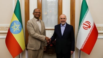 قالیباف: توسعه روابط سیاسی و اقتصادی بین ایران و اتیوپی هدف گذاری شده است