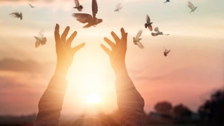 Qilonədə 12 nfər jənə zıney zıney nıbıə cinoyəton zindoni ozod bey