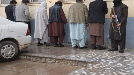 عملیات امنیتی در هرات؛ ۵۵ تن به اتهام جرایم جنایی بازداشت شدند