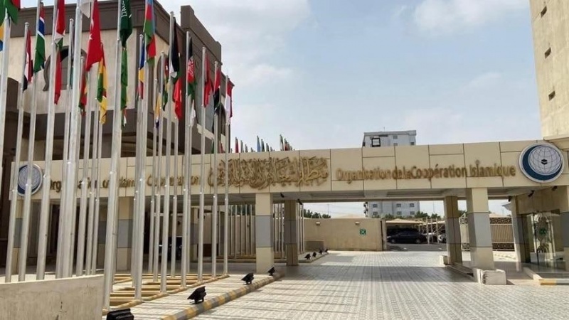 Sionist režiminiň Somalilend baradaky hereketi giňden ýazgaryldy