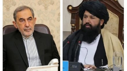 د افغانستان  او ایران د د لوړو زده‌کړو ملګرتیاوې  پراخیږي  