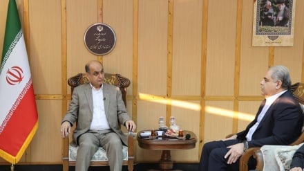 Bə daxıli iyən xarıci investisiya noə kəsonku himoyə kardey xoto, Qiloni komilə hozzoəti