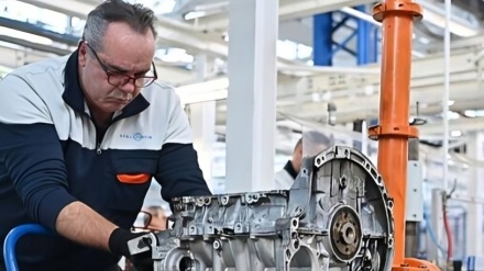 بازار کار بدون جوانان؛ افزایش اشتغال در ایتالیا روی دوش سالمندان