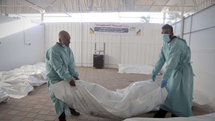 Jumlah Syuhada di Gaza Meningkat Menjadi 70.942