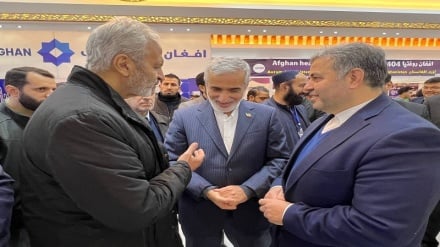 رئیس سازمان غذا و داروی ایران وارد کابل شد