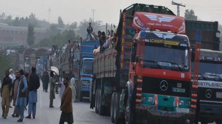 موج جدید بازگشت مهاجرین؛ ۷۴۵ خانواده مهاجر در یک روز به افغانستان بازگشتند