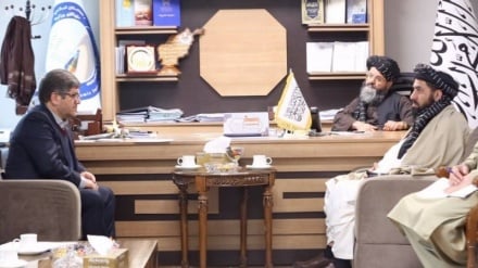 伊朗与阿富汗就通往中国的铁路连接展开磋商