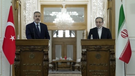 Iran und Türkei fordern Beendigung des Massakers an den unterdrückten Palästinensern