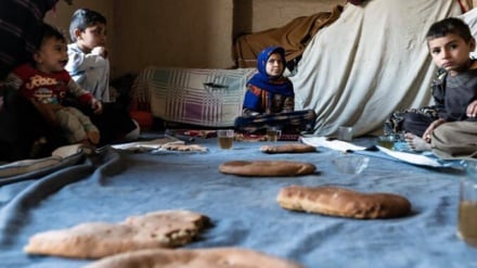 سازمان ملل: کمک‌های غذایی به افغانستان تا ۸۰ درصد کاهش یافت