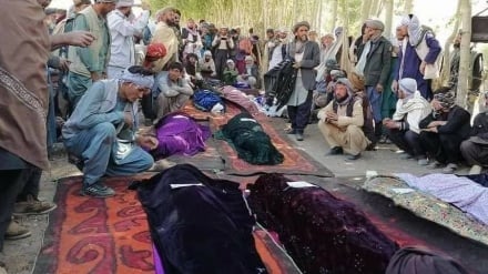 گزارش تأمل‌برانگیز سازمان حقوق بشر افغانستان از جنایات داعش علیه شیعیان این کشور