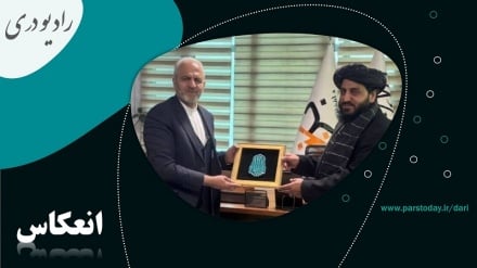 تاکید مسئولان و کارشناسان بخش صحت و درمان ایران و افغانستان بر توسعه همکاری ها در این حوزه 