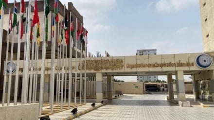 Siyonist rejimin Somaliland hakkındaki girişimine geniş çaplı kınama