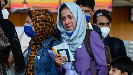 سه هزار دلار کمک تشویقی برای خروج داوطلبانه مهاجران غیرمجاز از آمریکا