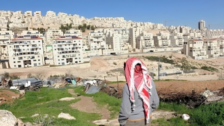 محکومیت توسعه شهرک‌سازی رژیم صهیونیستی از طرف مصر