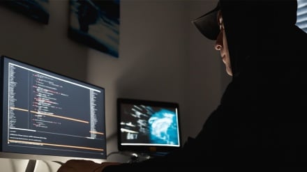 Семилетние хакеры; новое поколение киберпреступников, наносящих ущерб крупным британским компаниям