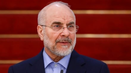 Lajme | Ghalibaf: Përgjigja e popullit iranian ndaj çdo të keqeje është e papritur / Evropianët nuk i besojnë Trumpit