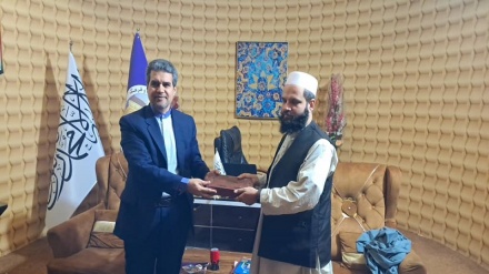 د ایران او  افغانستان تر منځ د کلتوري اړیکو پر ټینګېدا او پراختیا ټینګار وشو