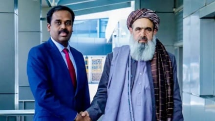 د افغانستان د روغتیا وزیر نور جلال جلالي  هندوستان ته رسیدلی دی