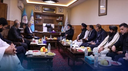 اعلام آمادگی کامل ایران برای همکاری با افغانستان در تداوی معتادان