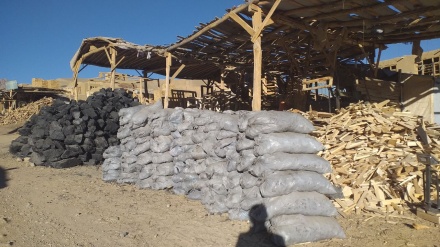 موج گرانی سوخت در هرات و نگرانی‌های مردم در فصل زمستان